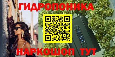 дмт Будённовск