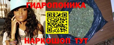 дмт Будённовск