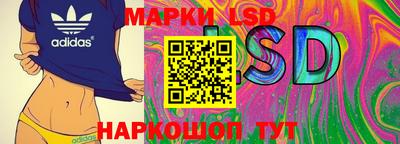дмт Будённовск