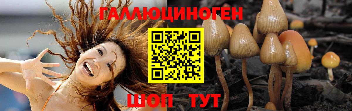 Галлюциногенные грибы MAGIC MUSHROOMS Коркино